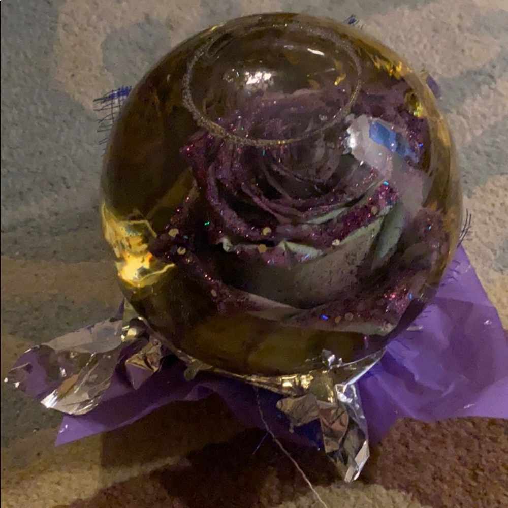Rose in a Water Glass